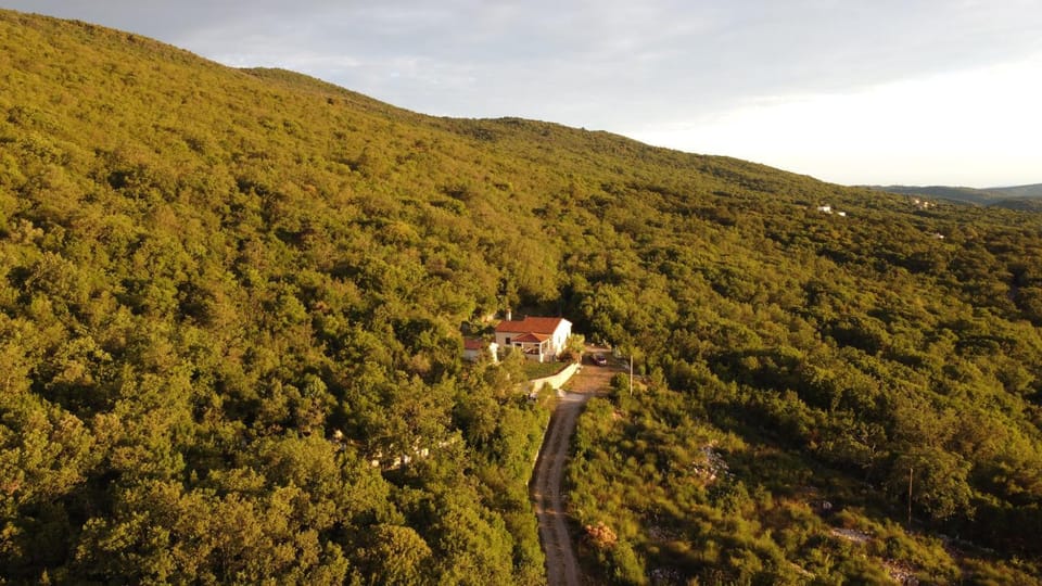 Natural landscape, Bird's eye view