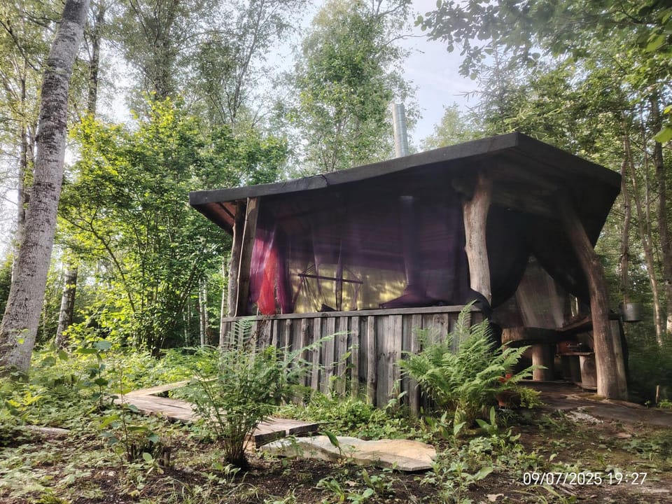 Off-grid forest glamping Luxury tent in Estonia