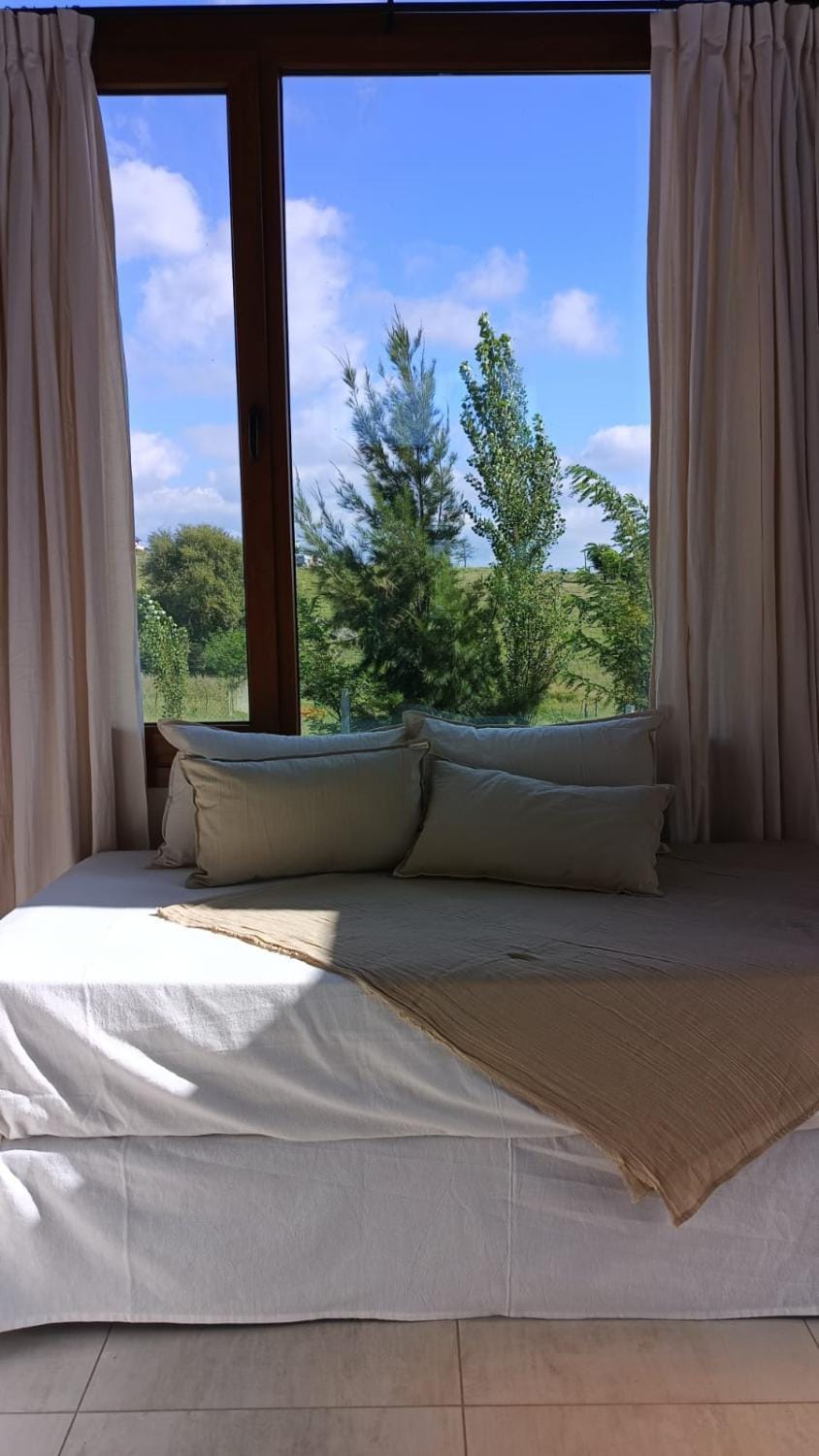 Bed, Living room, Photo of the whole room