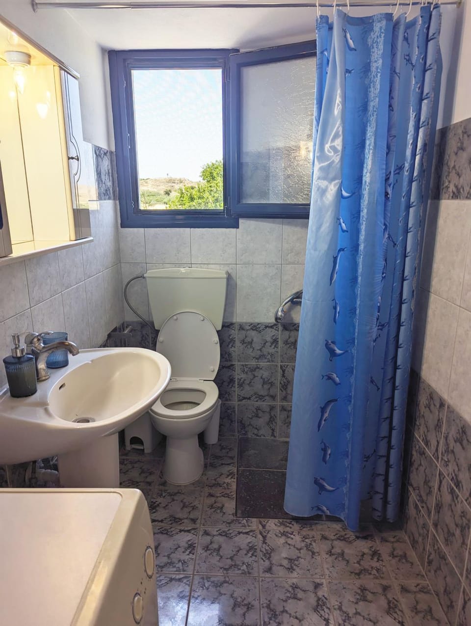 Shower, Toilet