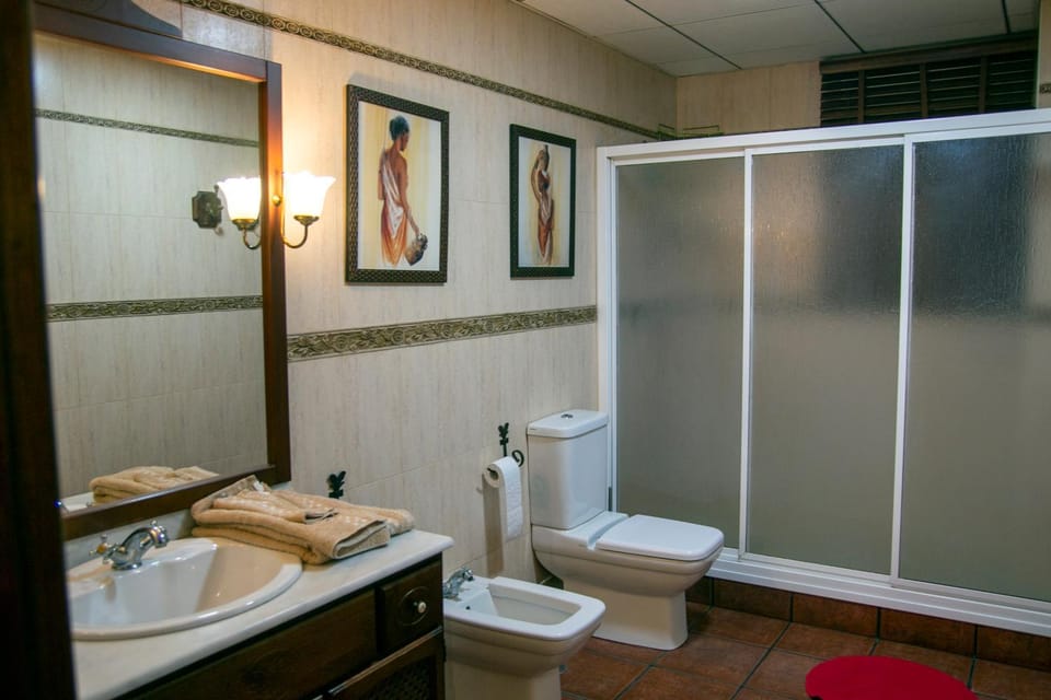 Shower, Toilet, towels