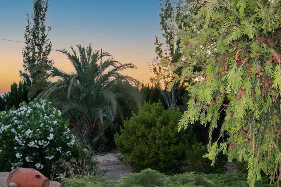Garden view