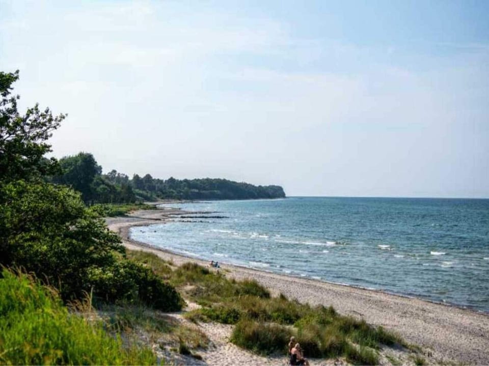 Lake view