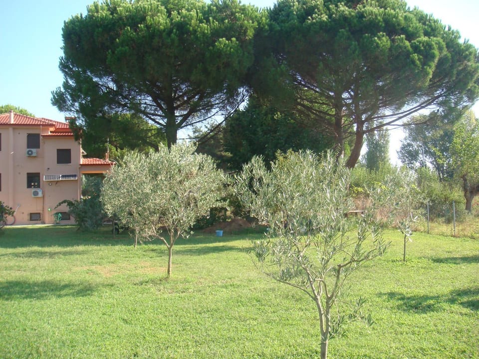Property building, Garden