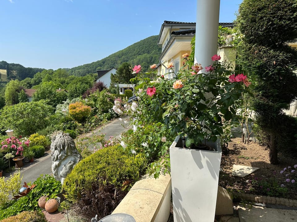 Garden, Garden view