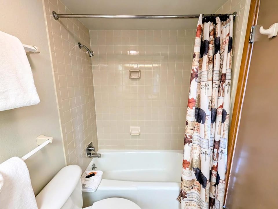 Quicksilver 1607 by SummitCove Lodging House in Keystone