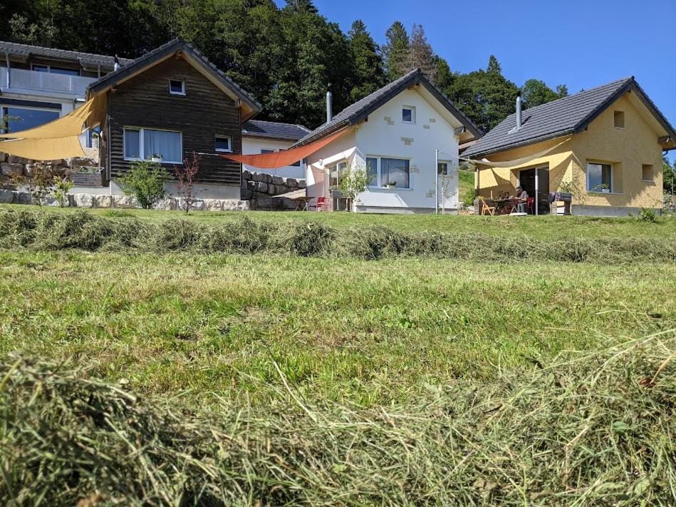 View (from property/room), View (from property/room)