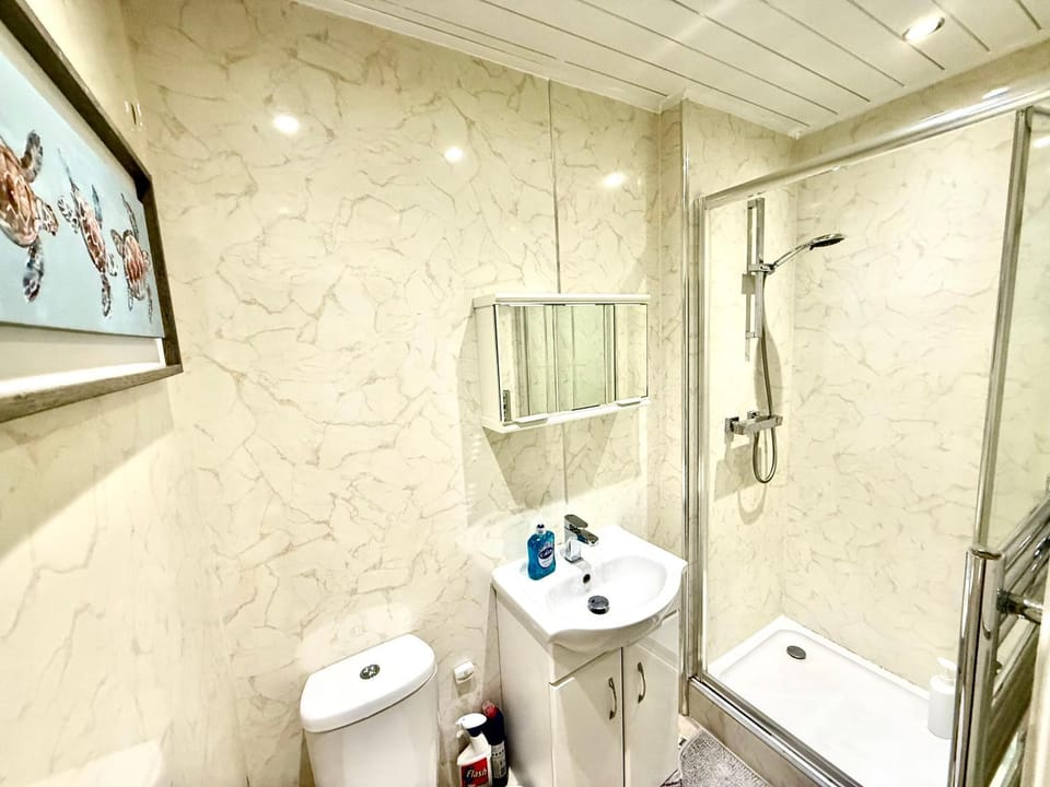 Shower, Toilet, Bathroom, towels