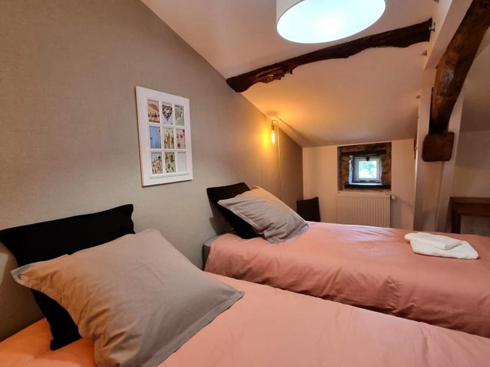 Gîte spacieux avec spa et jardin pour 10 personnes - FR-1-496-358 House in Auvergne-Rhône-Alpes