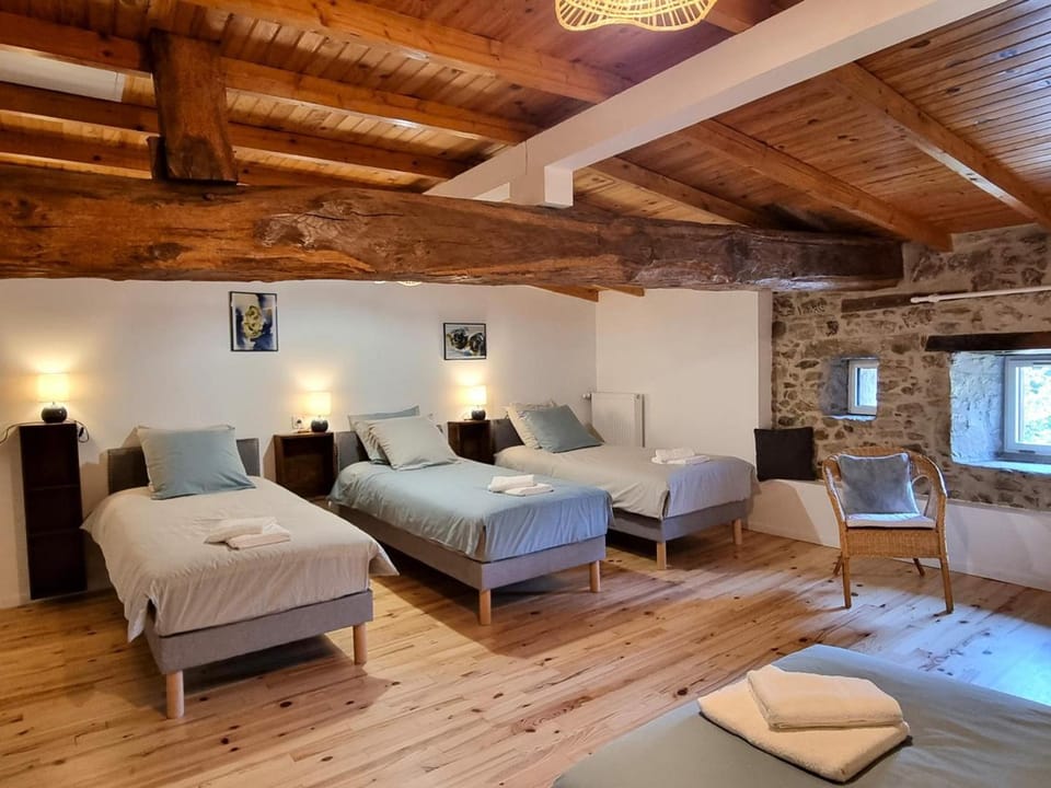 Gîte spacieux avec spa et jardin pour 10 personnes - FR-1-496-358 House in Auvergne-Rhône-Alpes