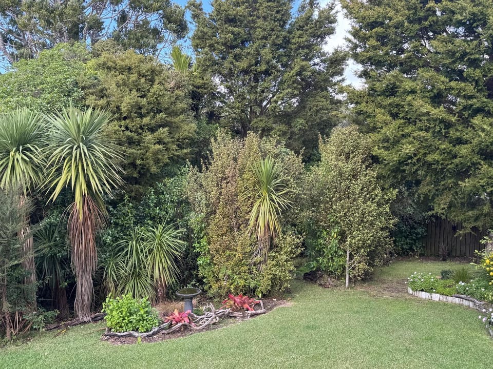 Bushy Retreat Bed and Breakfast in Auckland Region