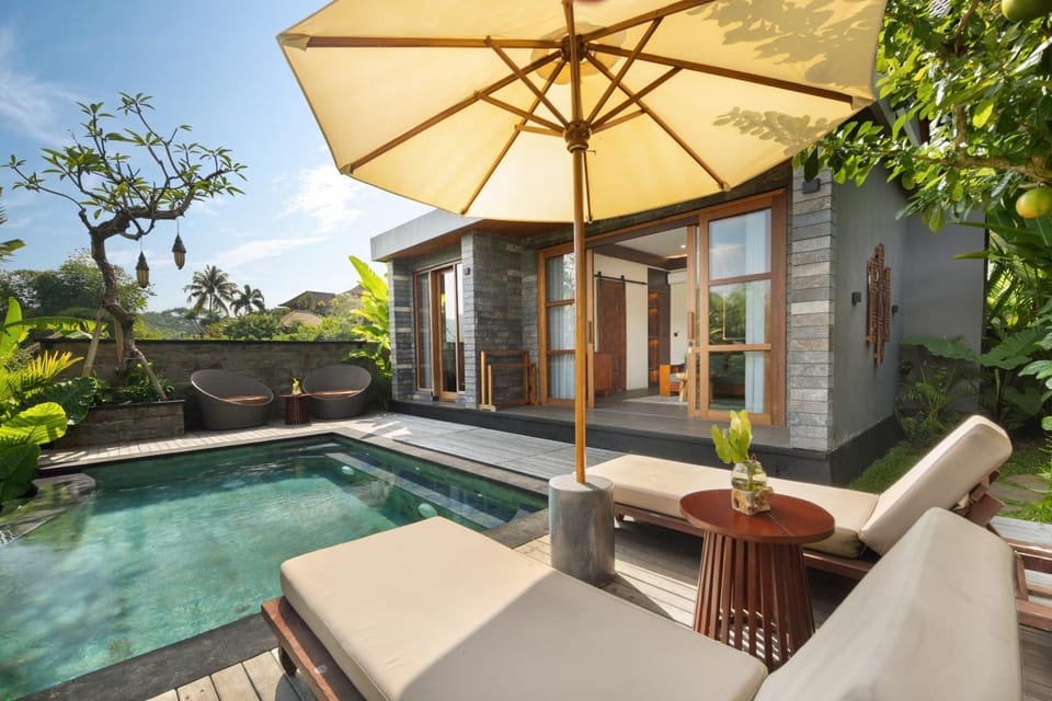 Property building, Garden view, Swimming pool, sunbed
