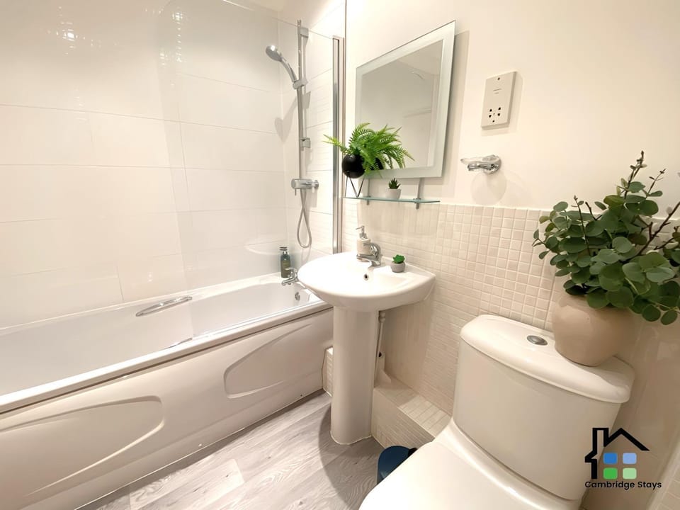 Shower, Toilet, Bathroom, Bath