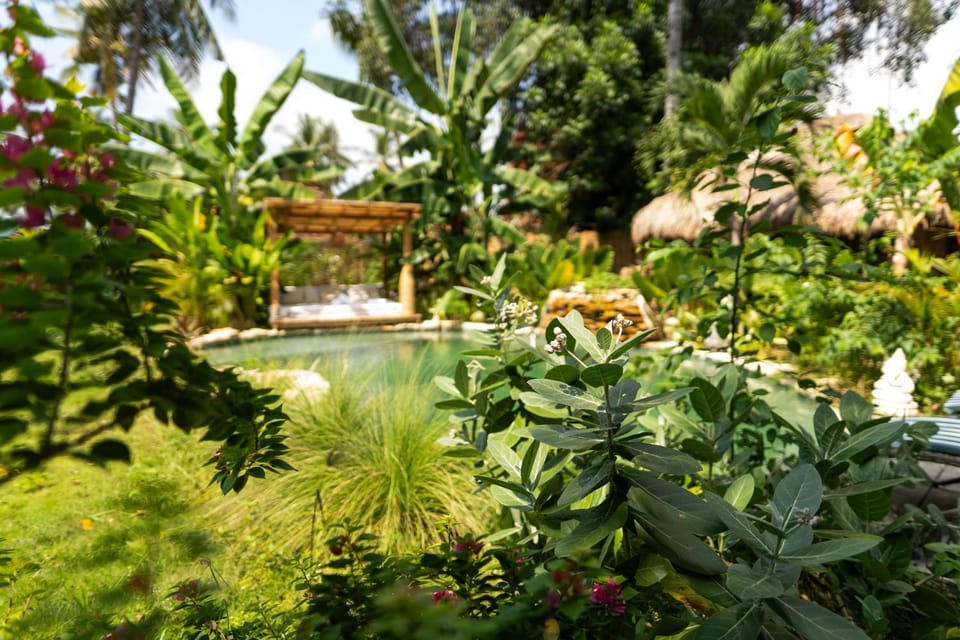 Garden, Garden, Swimming pool, Swimming pool