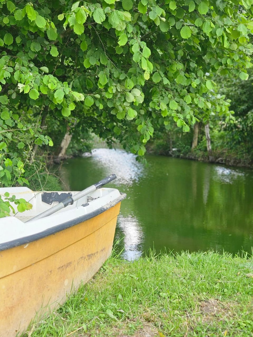 Natural landscape, Activities, Lake view, River view