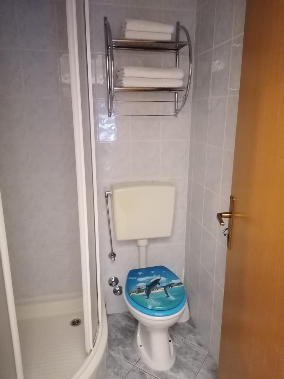 Shower, Toilet, Bathroom, towels