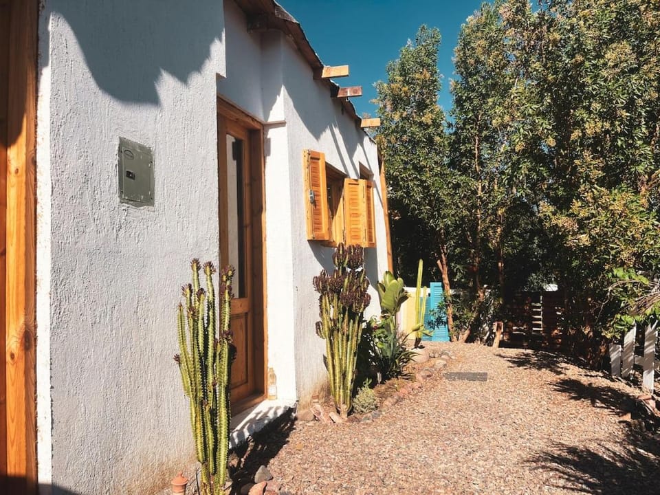 Property building, Garden, Garden view