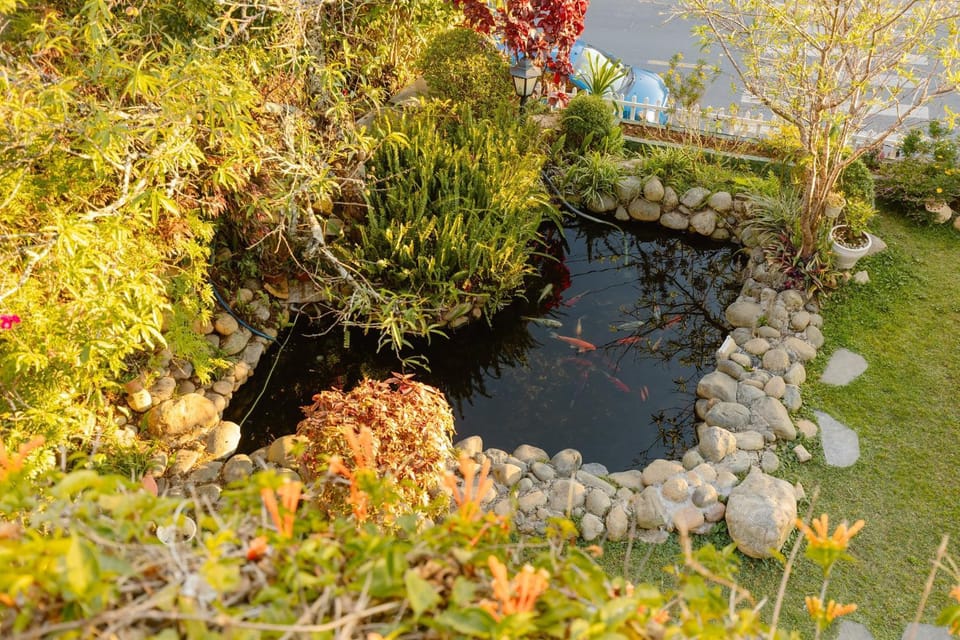 Natural landscape, Garden, Garden view, River view
