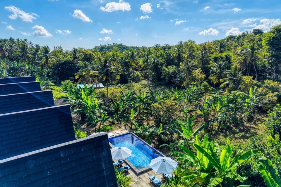 Property building, Natural landscape, Garden, Garden view, Pool view, Swimming pool