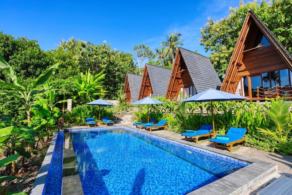 Garden, Pool view, Swimming pool, sunbed
