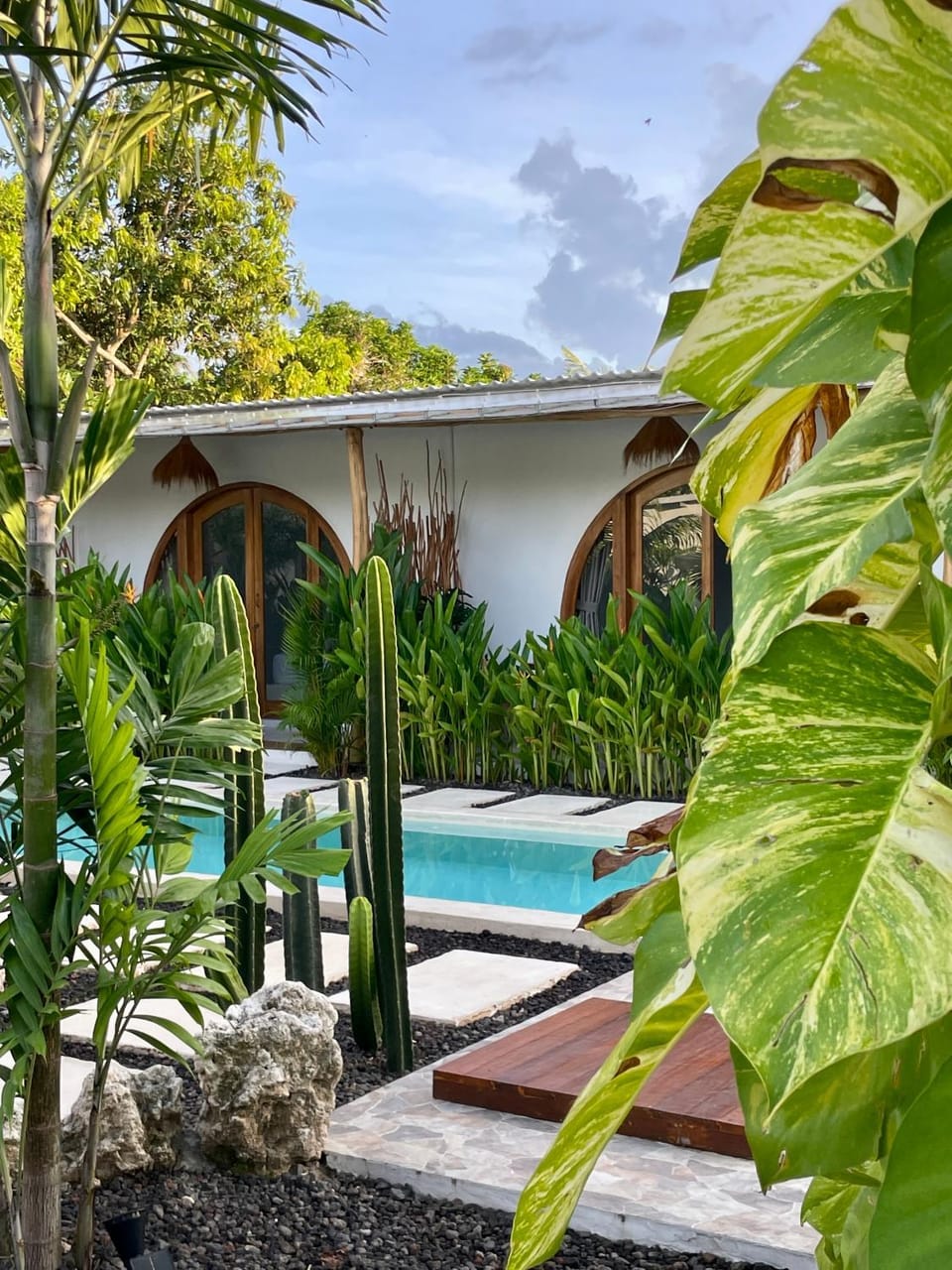 Garden, Garden, Swimming pool, Swimming pool