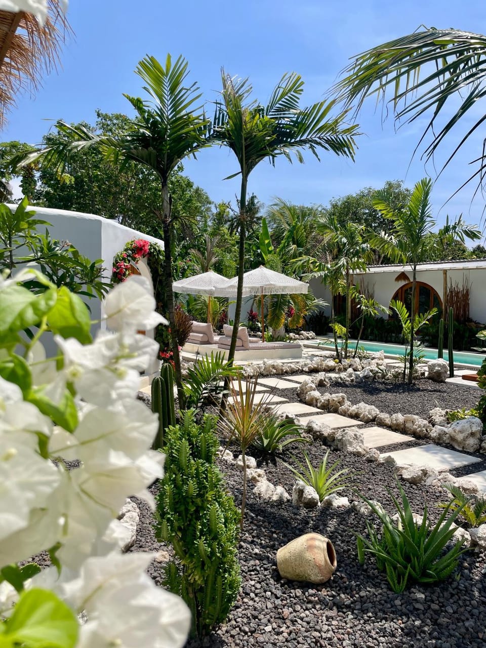 Property building, Garden, Garden view, Garden view, Swimming pool