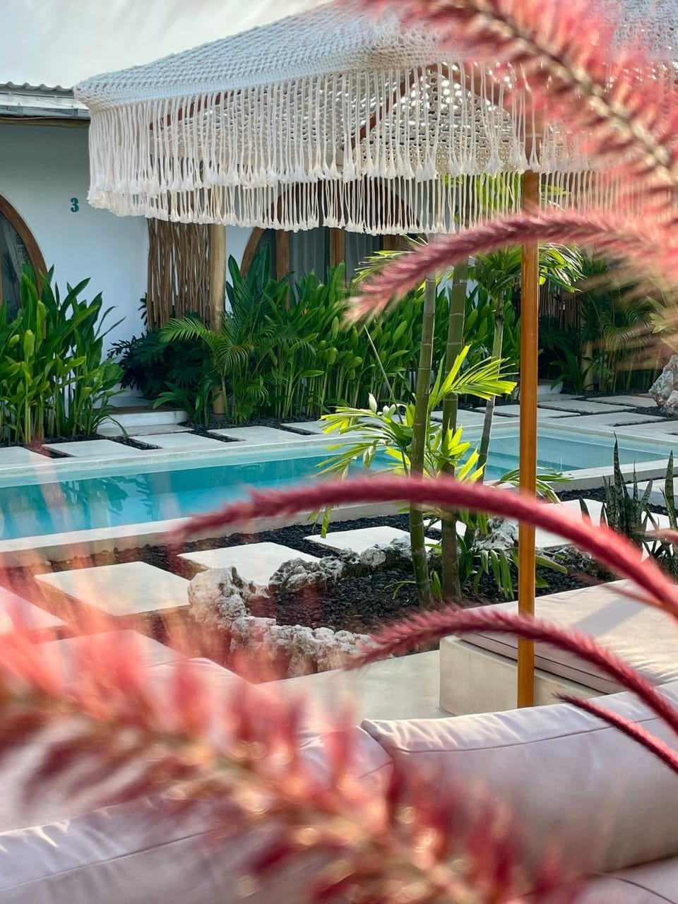 Garden, Garden, Swimming pool, Swimming pool, sunbed