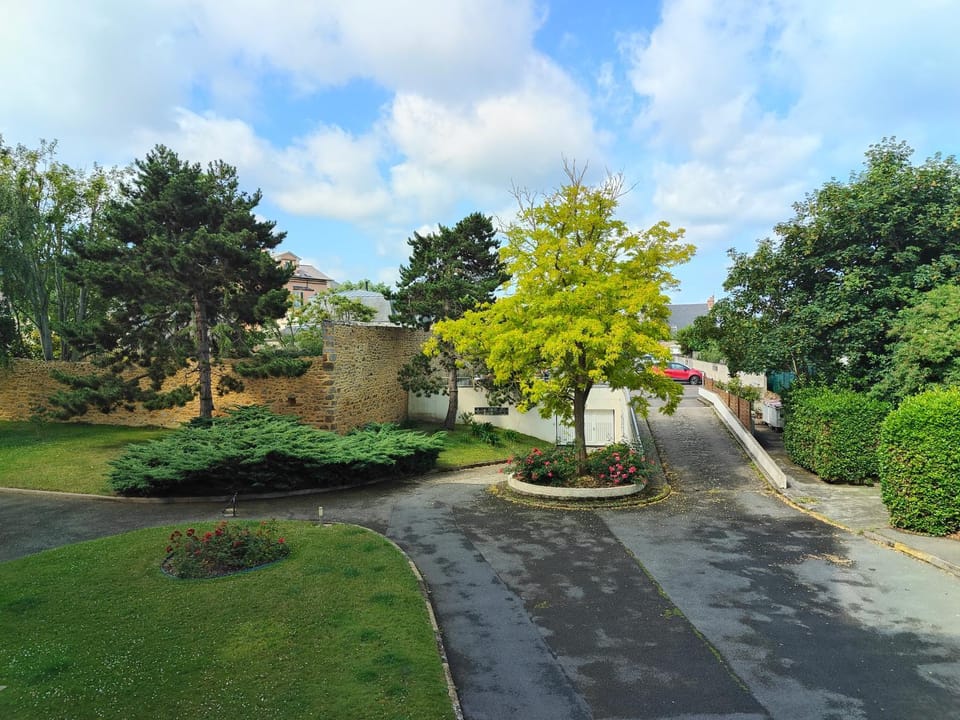 Garden view