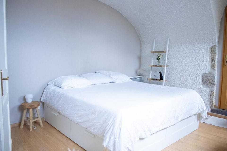 Charme rare sous les voûtes Apartment in Clermont-Ferrand