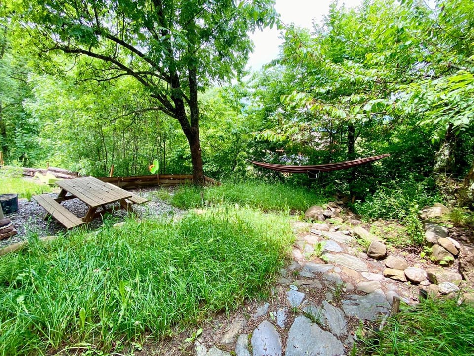 Spring, Natural landscape, Garden, Garden view