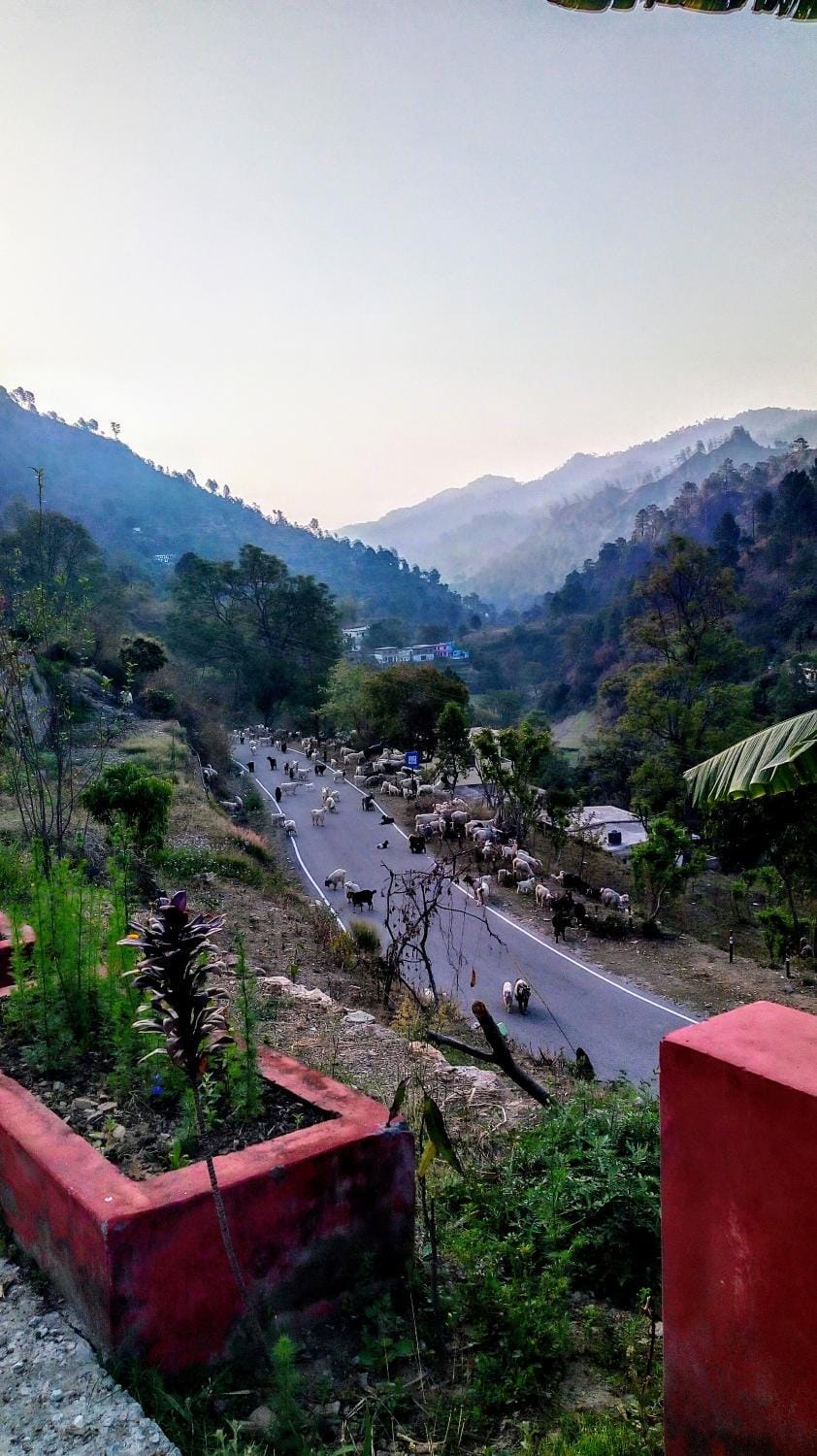 Spring, Neighbourhood, Natural landscape, Mountain view