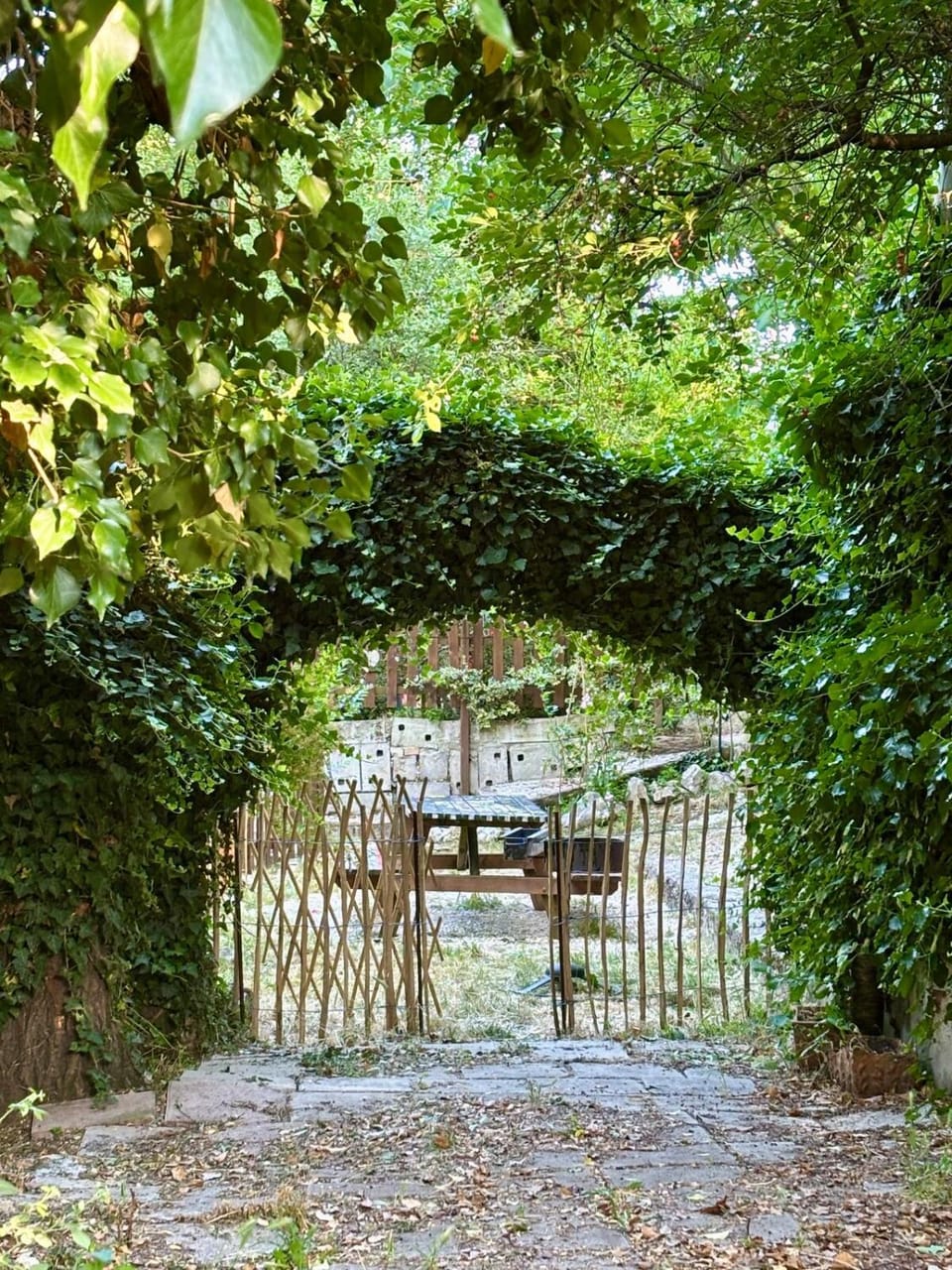 Natural landscape, Garden view