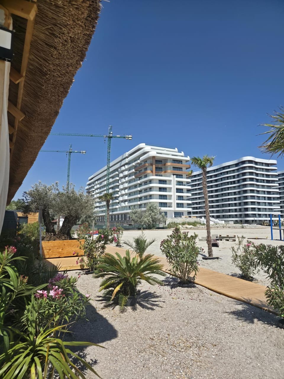 Property building, Day, Beach