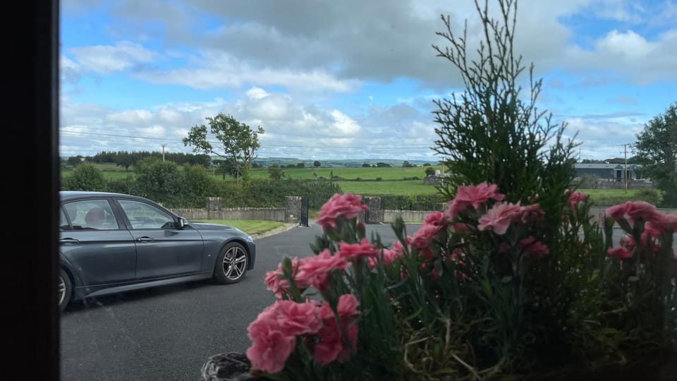 Homestay Large Ensuite Room Vacation rental in Westmeath, Co. Westmeath, Ireland