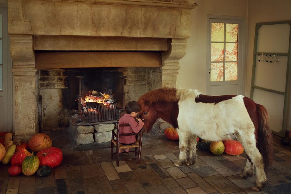 Chambre des moutons Farm Stay in Normandy