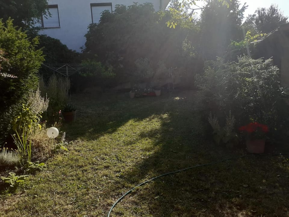 Garden, Garden view