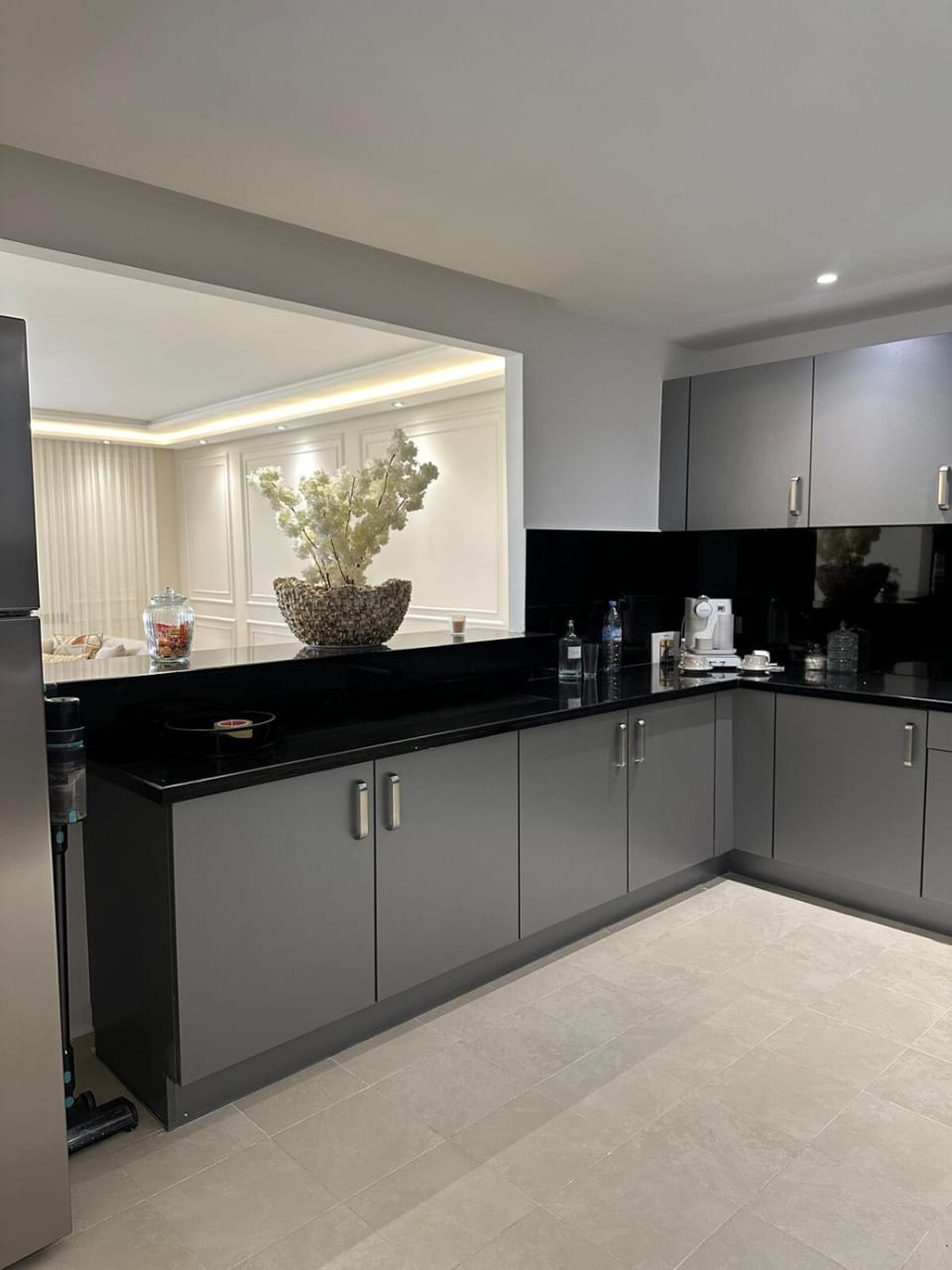 Coffee/tea facilities, Kitchen or kitchenette, dishwasher, minibar, pet friendly, stove