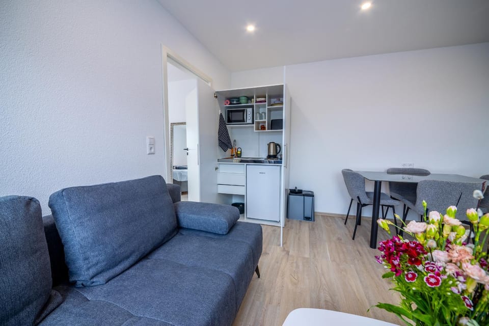 Kitchen or kitchenette, Living room