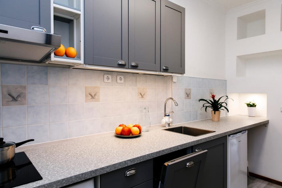 Kitchen or kitchenette, dishwasher