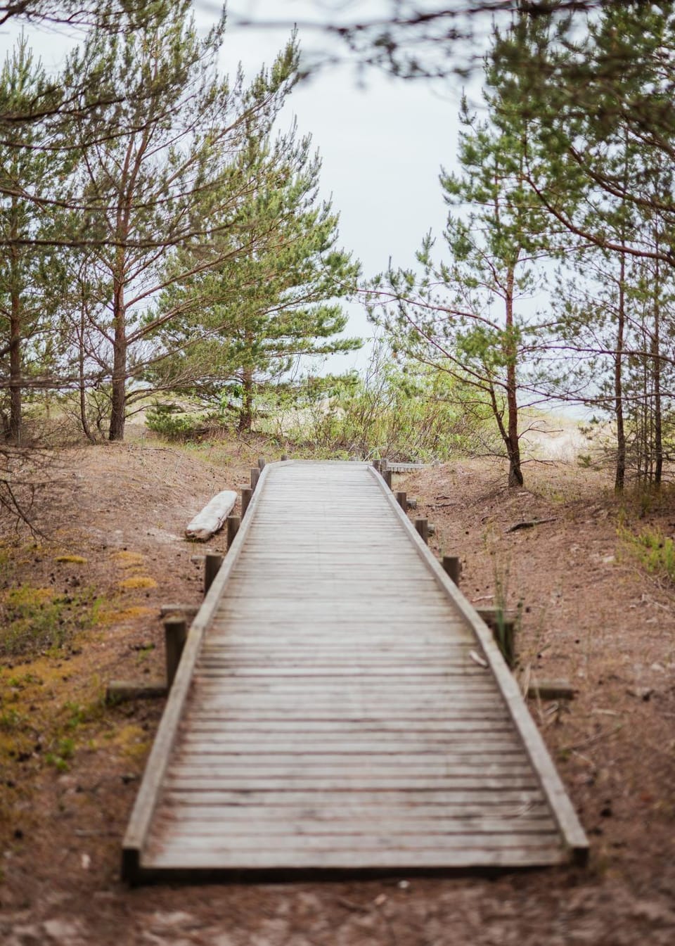 Vaide kempings Campground/ 
RV Resort in Latvia