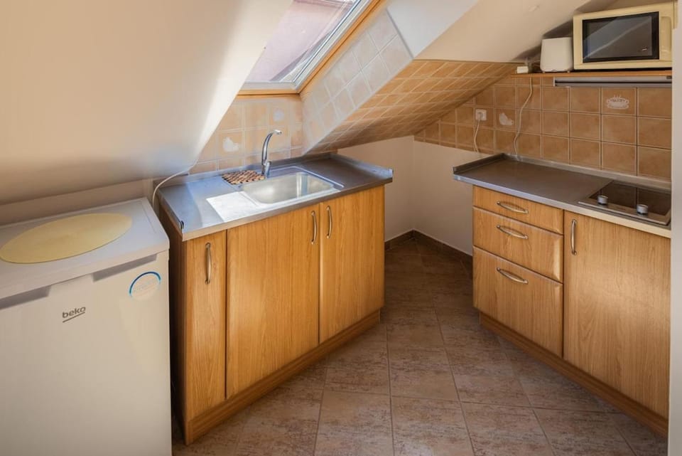 Downtown Studio with Garden Apartment in Slovakia