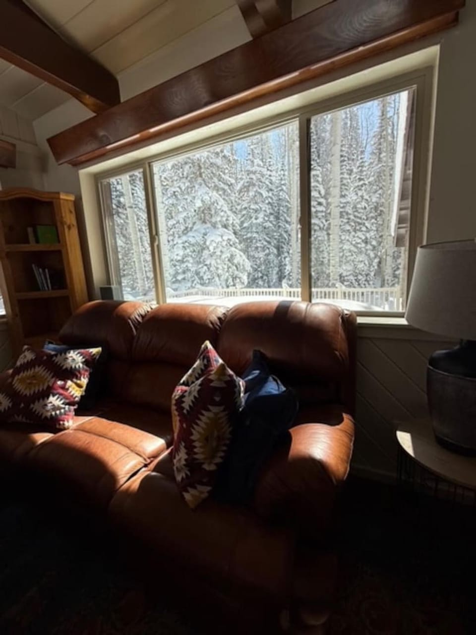 Massive Cabin Ski in Ski Out and Games Cabin in Brian Head