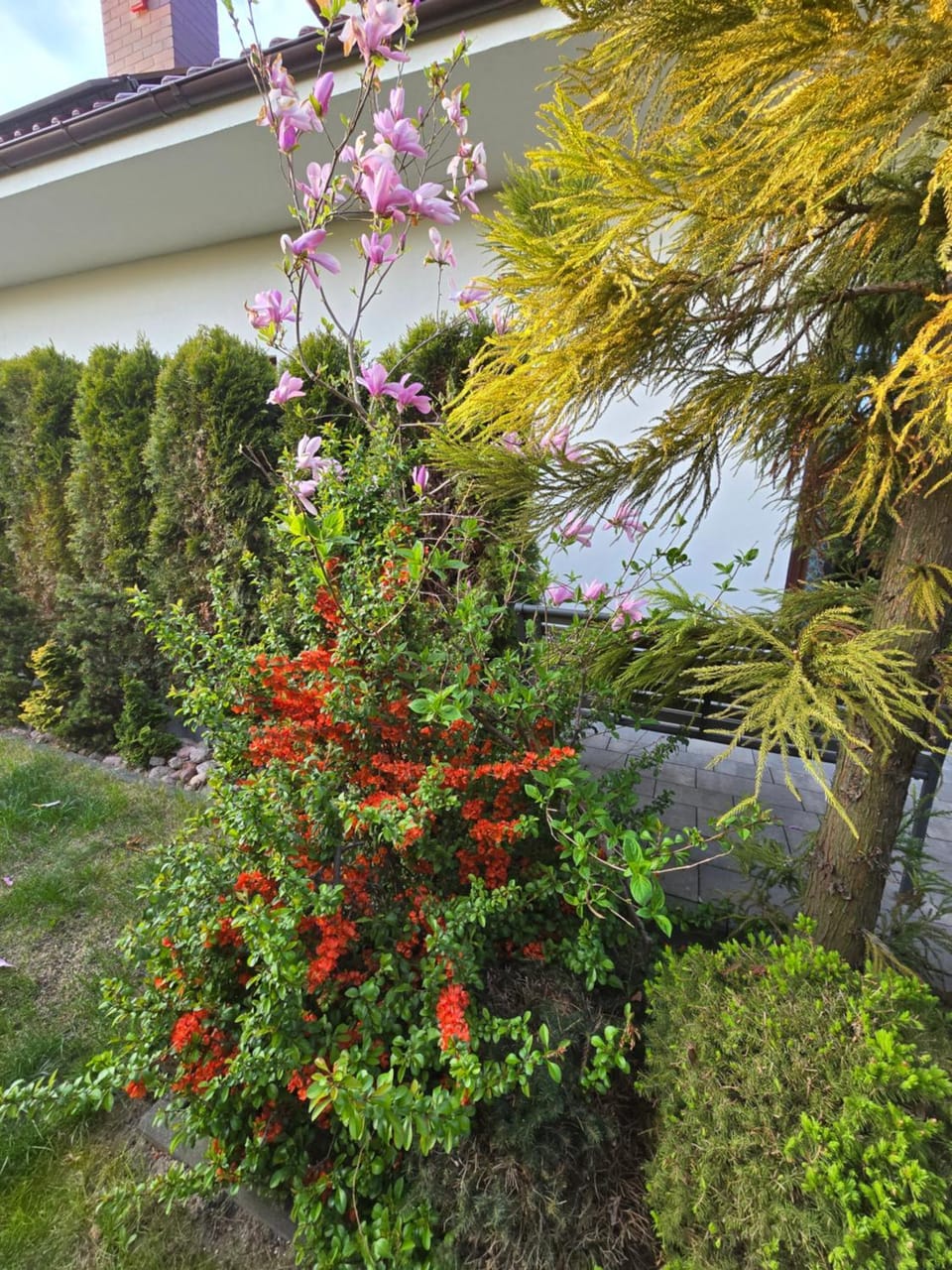 Granatowy odpoczynek - wieś Pogórze dla zmotoryzowanych Vacation rental in Pomeranian Voivodeship