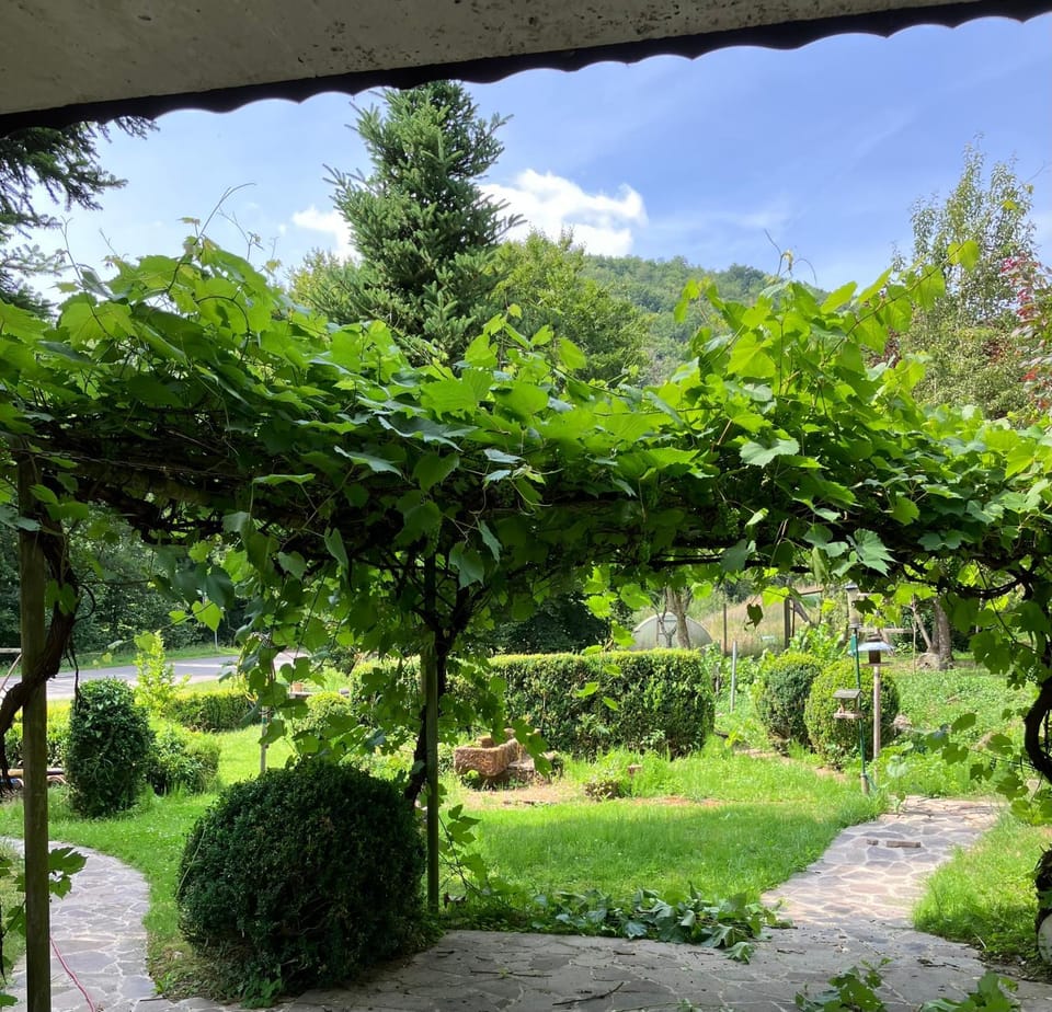 Garden view