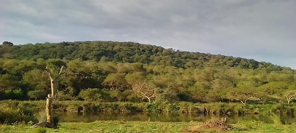 Sheriff's Campsite Campground/ 
RV Resort in KwaZulu-Natal