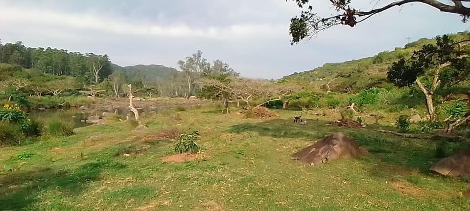 Sheriff's Campsite Campground/ 
RV Resort in KwaZulu-Natal