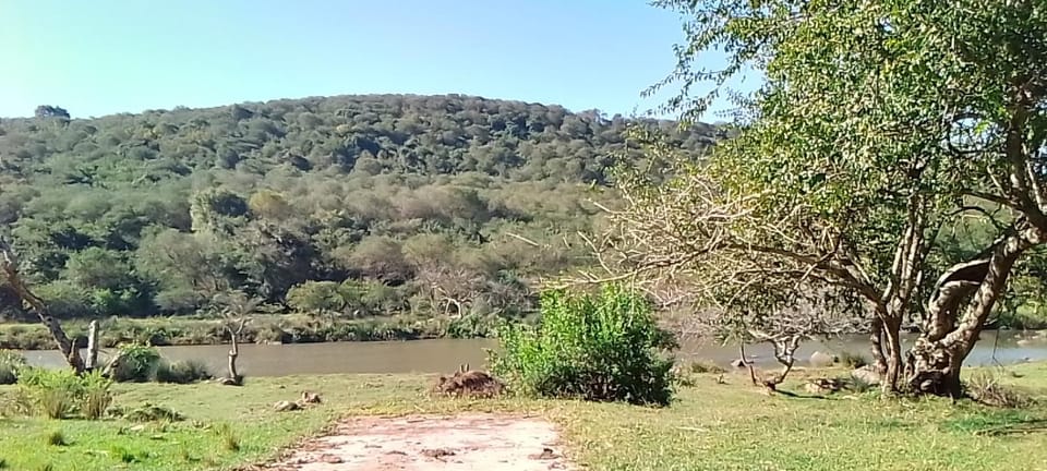 Sheriff's Campsite Campground/ 
RV Resort in KwaZulu-Natal