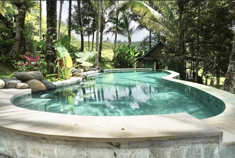 Natural landscape, Garden view, Pool view, Swimming pool