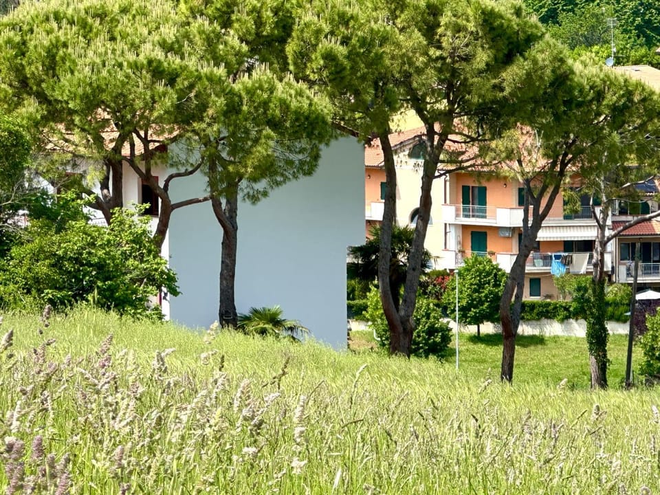 Property building, Natural landscape, Garden view