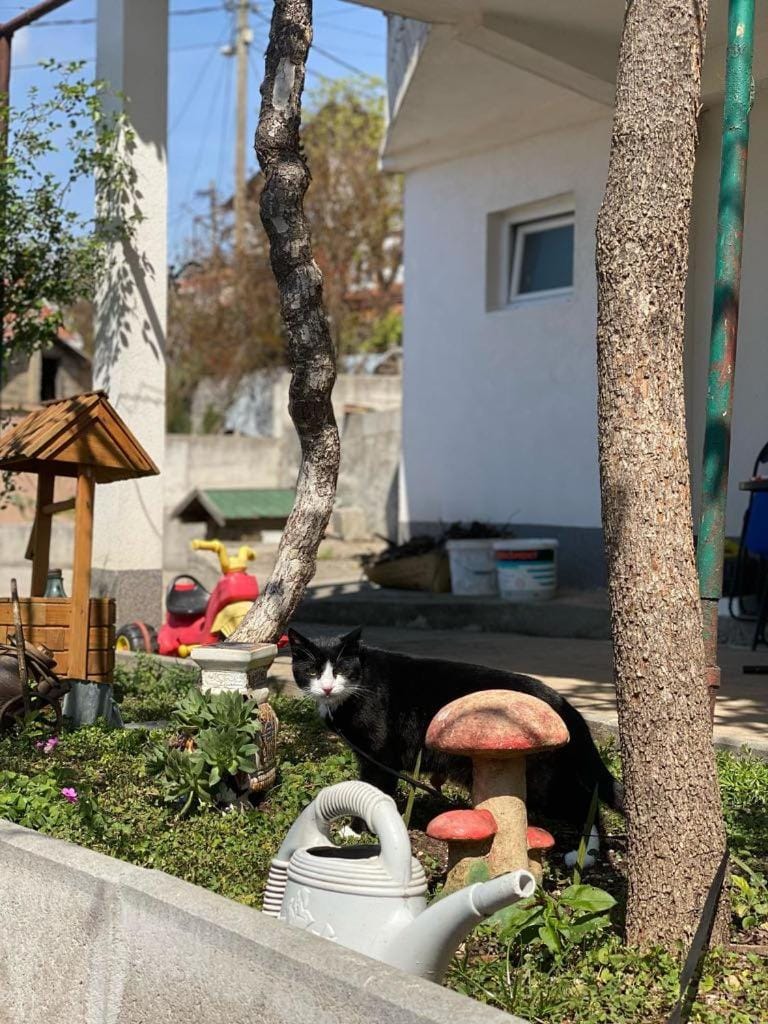 Guesthouse RED STAR Apartment in Mostar